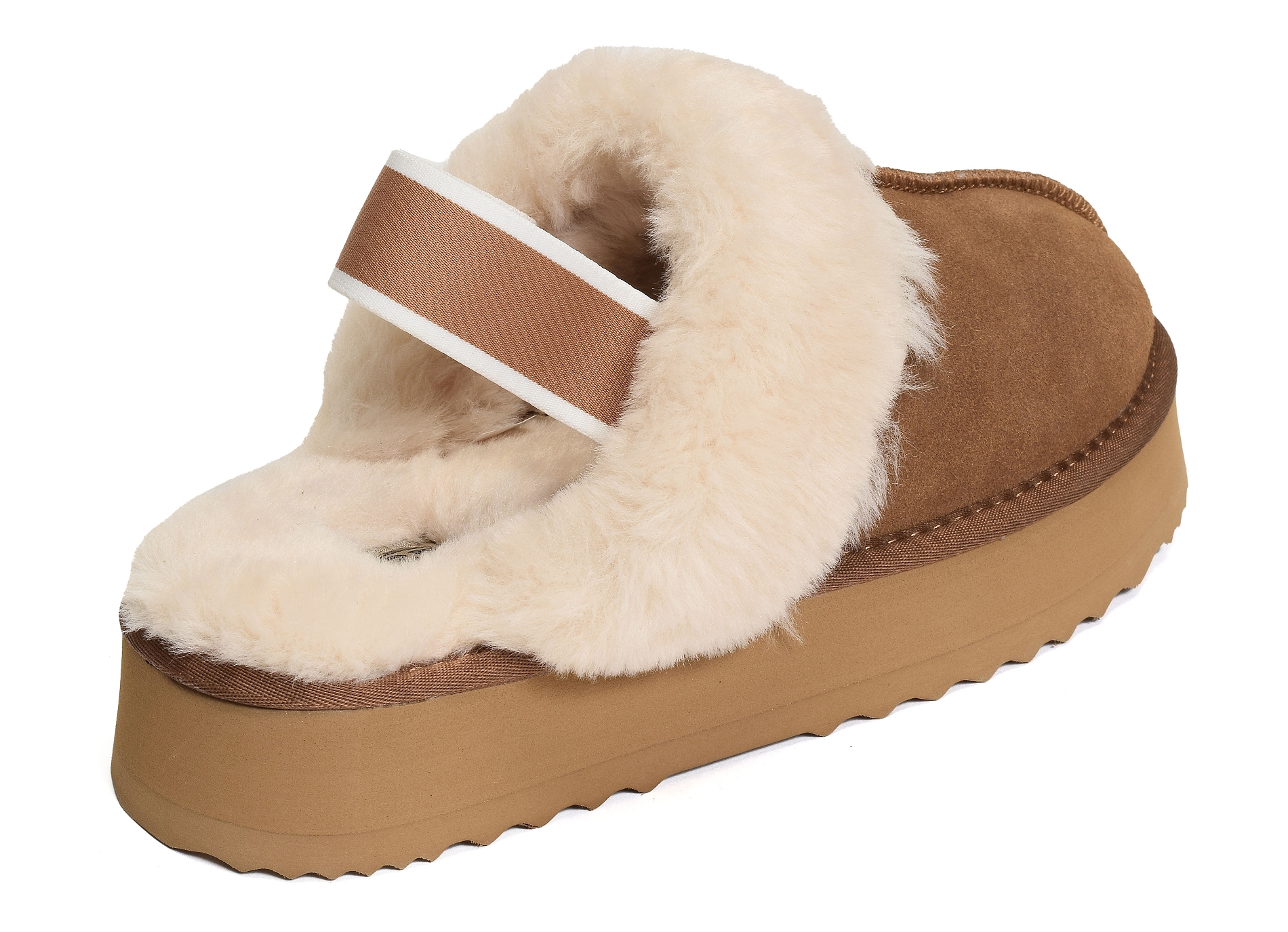 K21218 camel