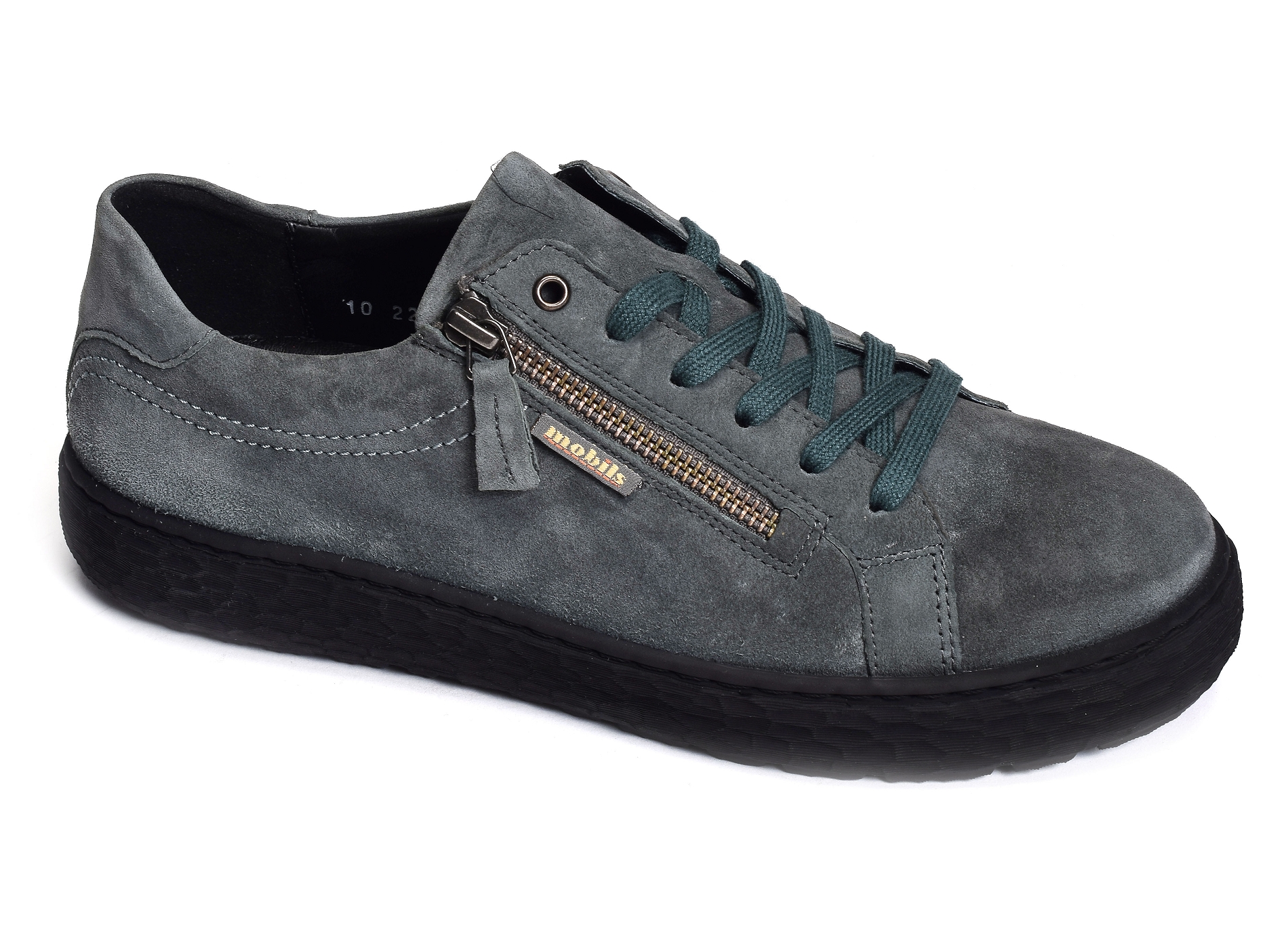 Laula gris bleu