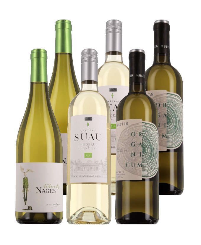 Best-sellers blancs 100% bios 6 bouteilles