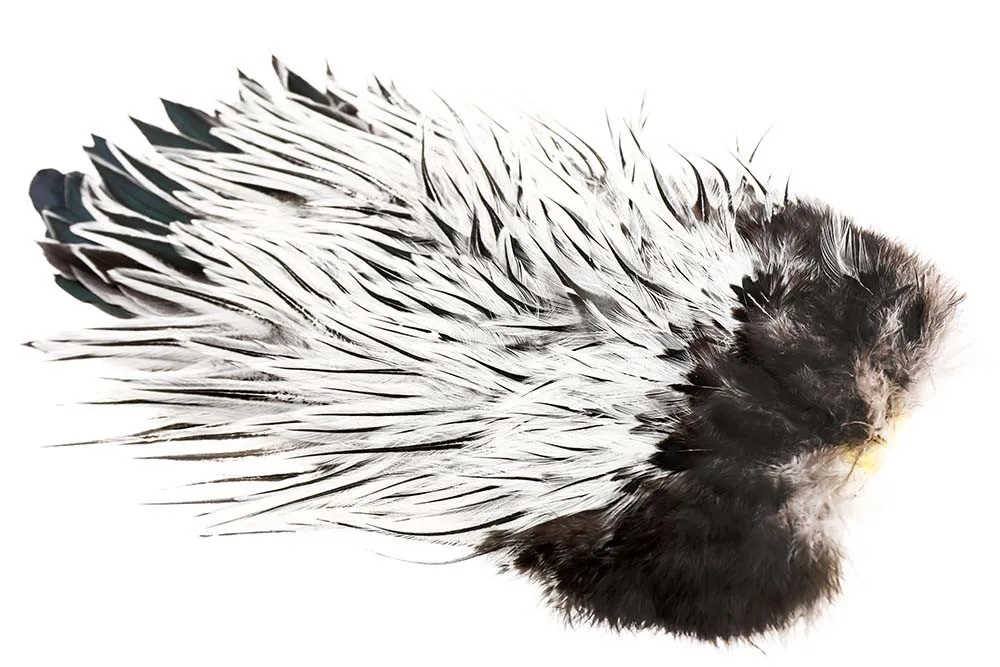 Whiting American Rooster Saddle