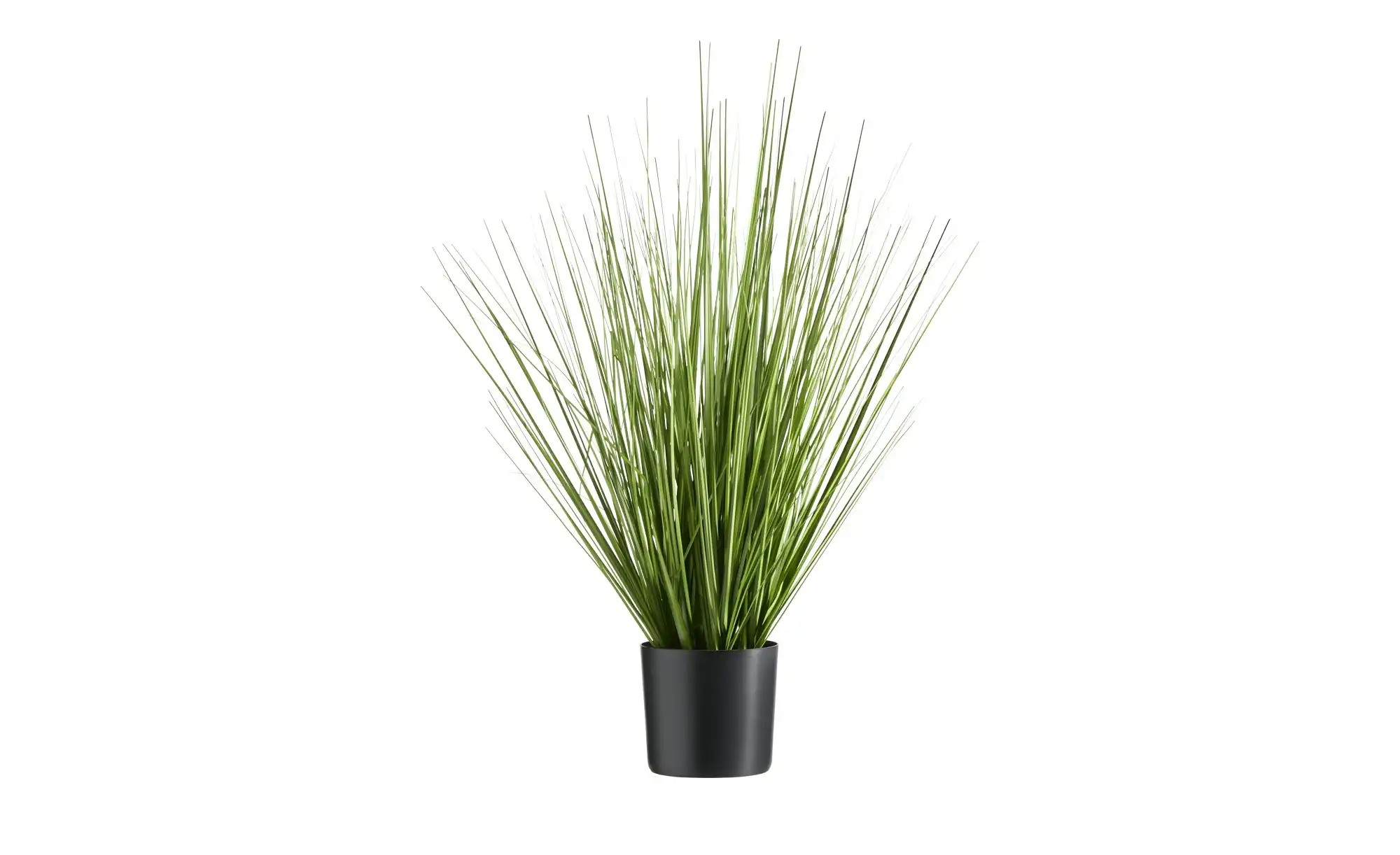 Grasbüschel getopft