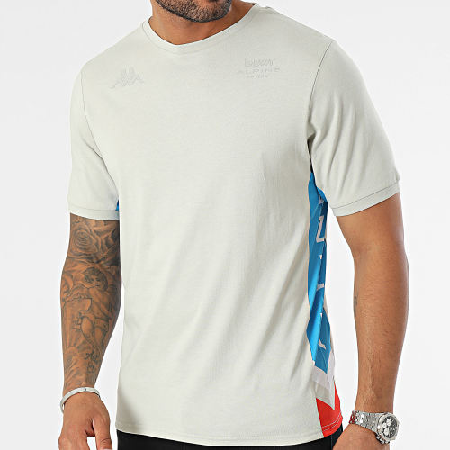 Tee Shirt Anser Alpine F1 341N4VW Gris Bleu Rouge