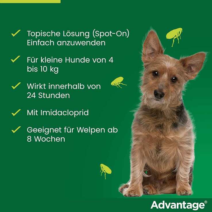 Advantage 100 für Hunde von 4-10 kg, 4 St