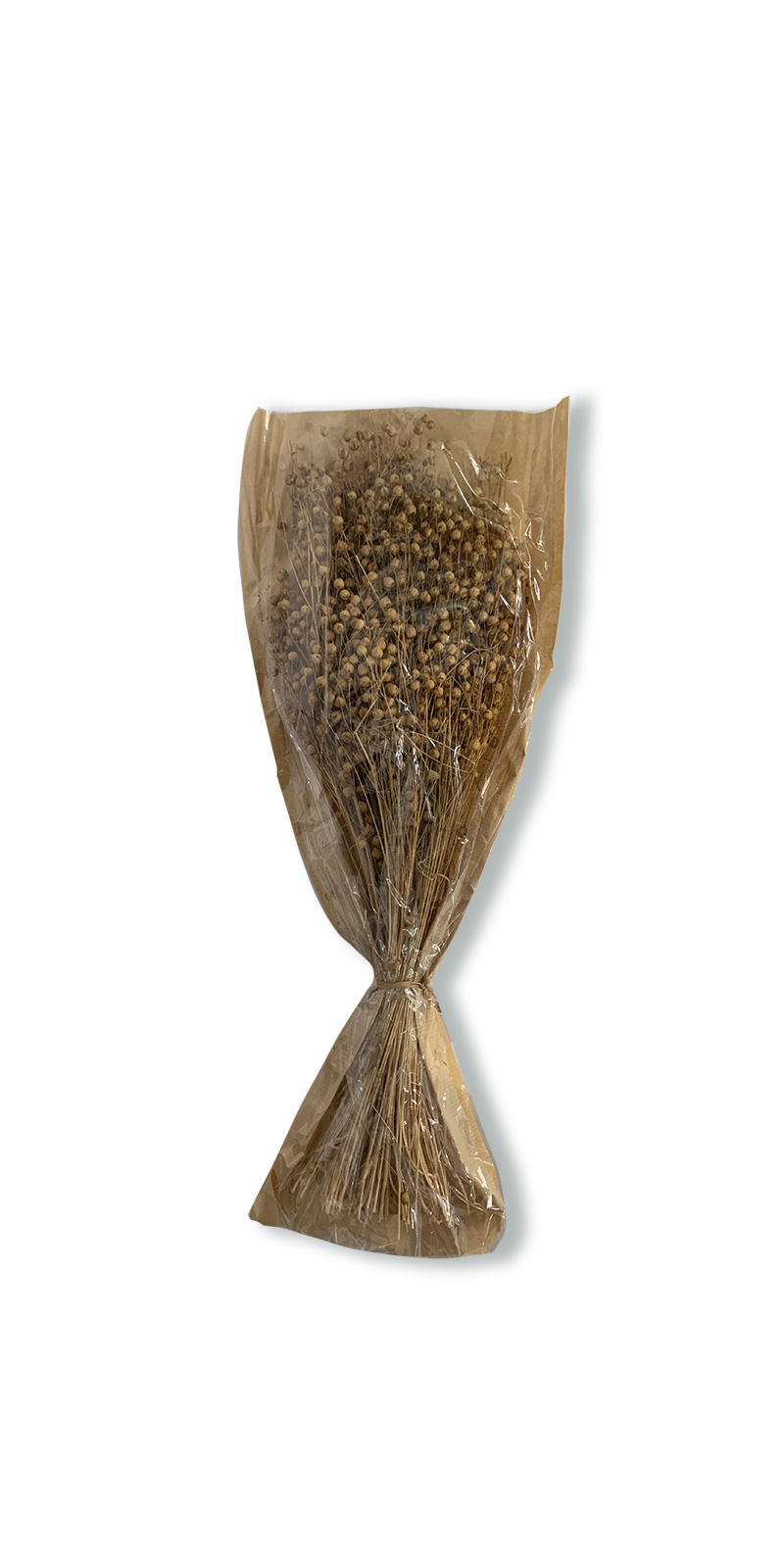 Trockenblumen-Bouquet 'Flachs', H 60 cm von fischer's lagerhaus
