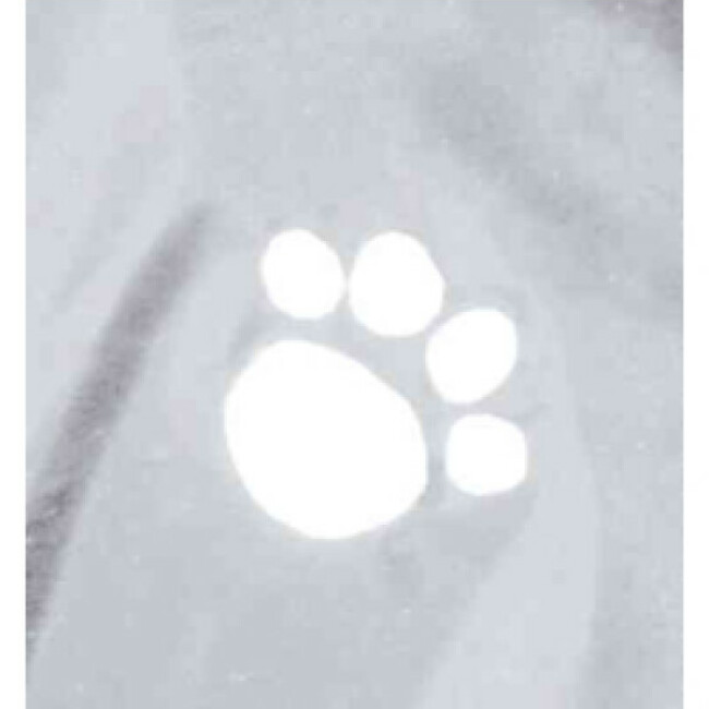 Imperméable Tarbes en PVC Trixie pour chiens