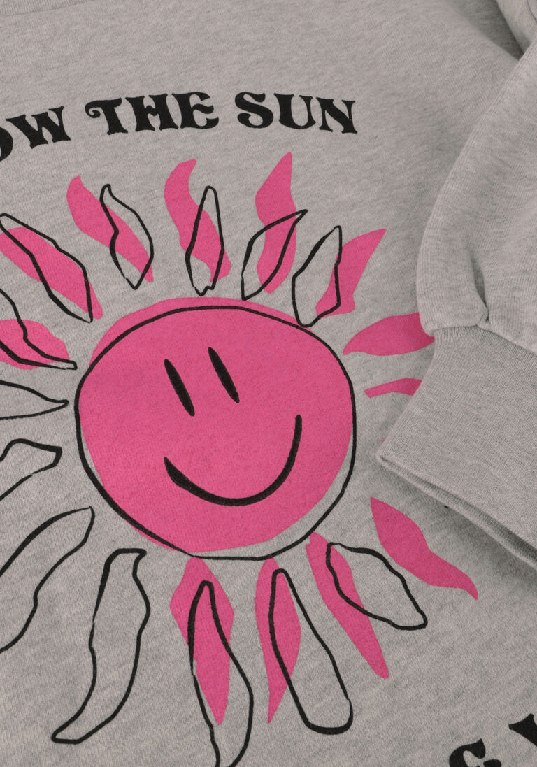 HARPER & YVE grijze harper & yve sweater smiley-sw