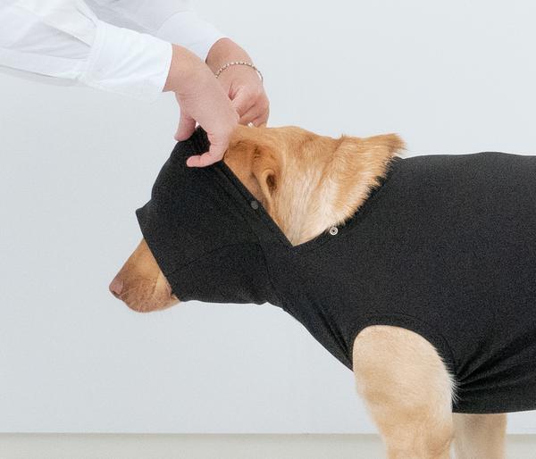 Dehner Lieblinge Post-OP-Body, schwarz