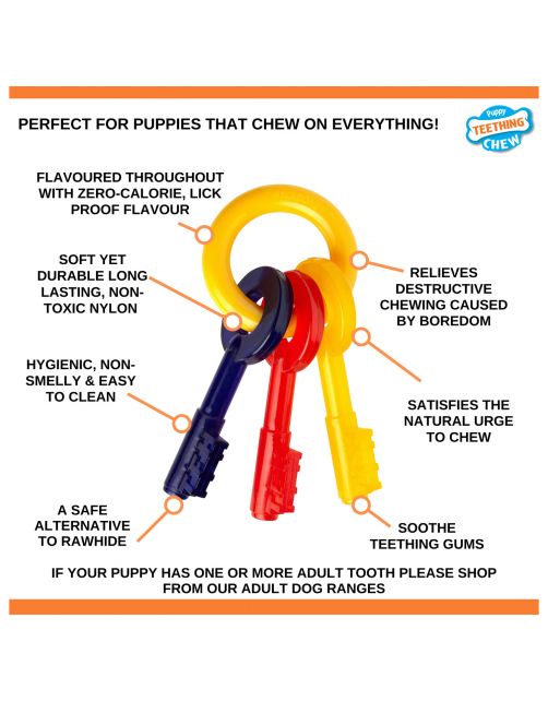 Nylabone Puppy Teething Key Flexible Geel&Blauw&Rood - Hondenspeelgoed
