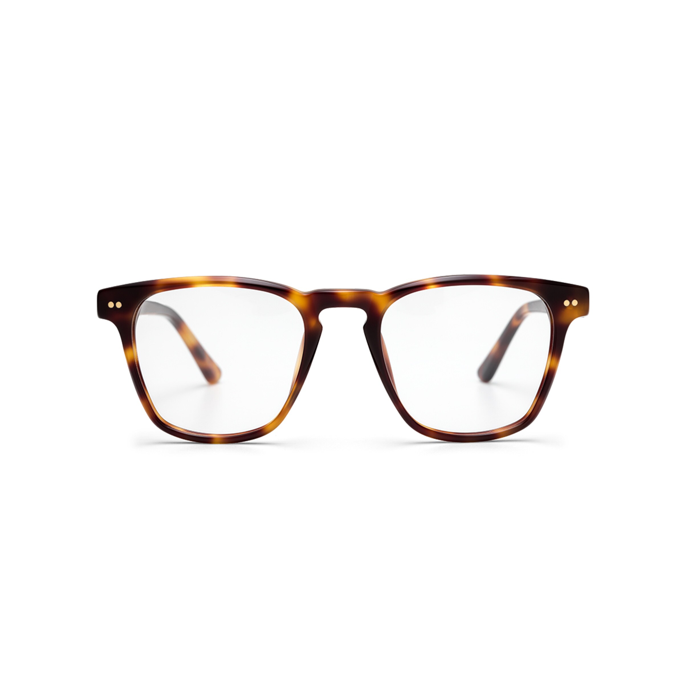 Carlton Shine Tortoise mit Sehstärke