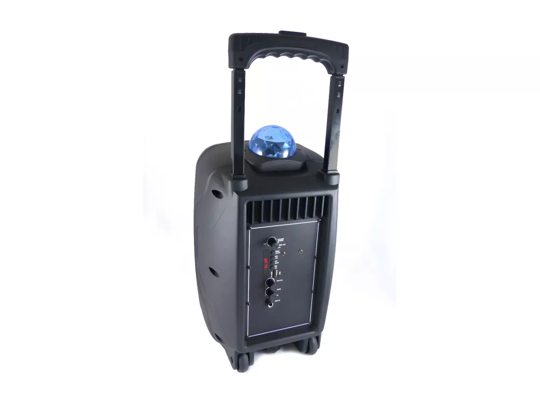 Enceinte trolley lumineuse Bluetooth KARAOKE 450W KARALIGHT