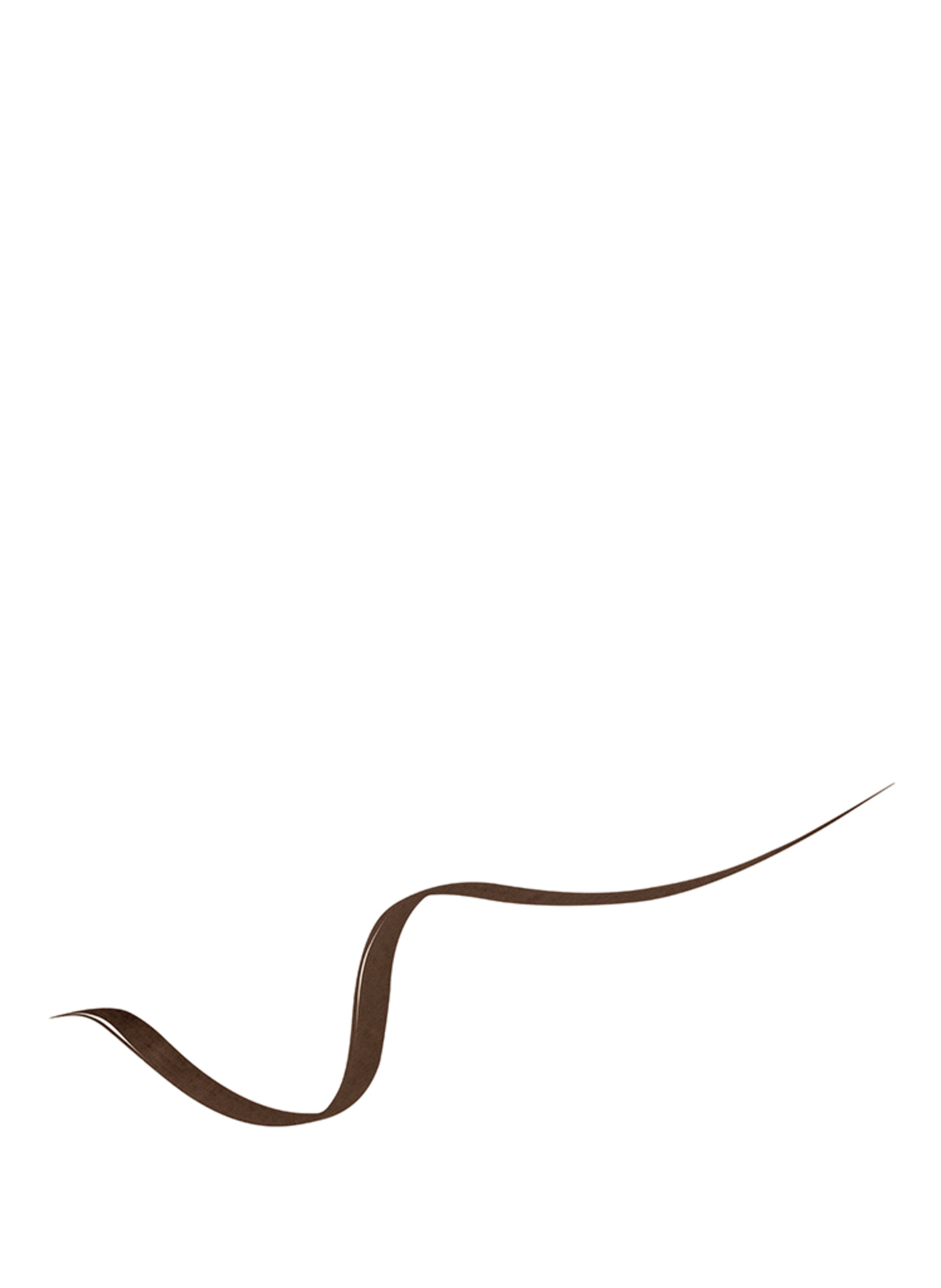 LANCÔME LASH LINER IDÔLE