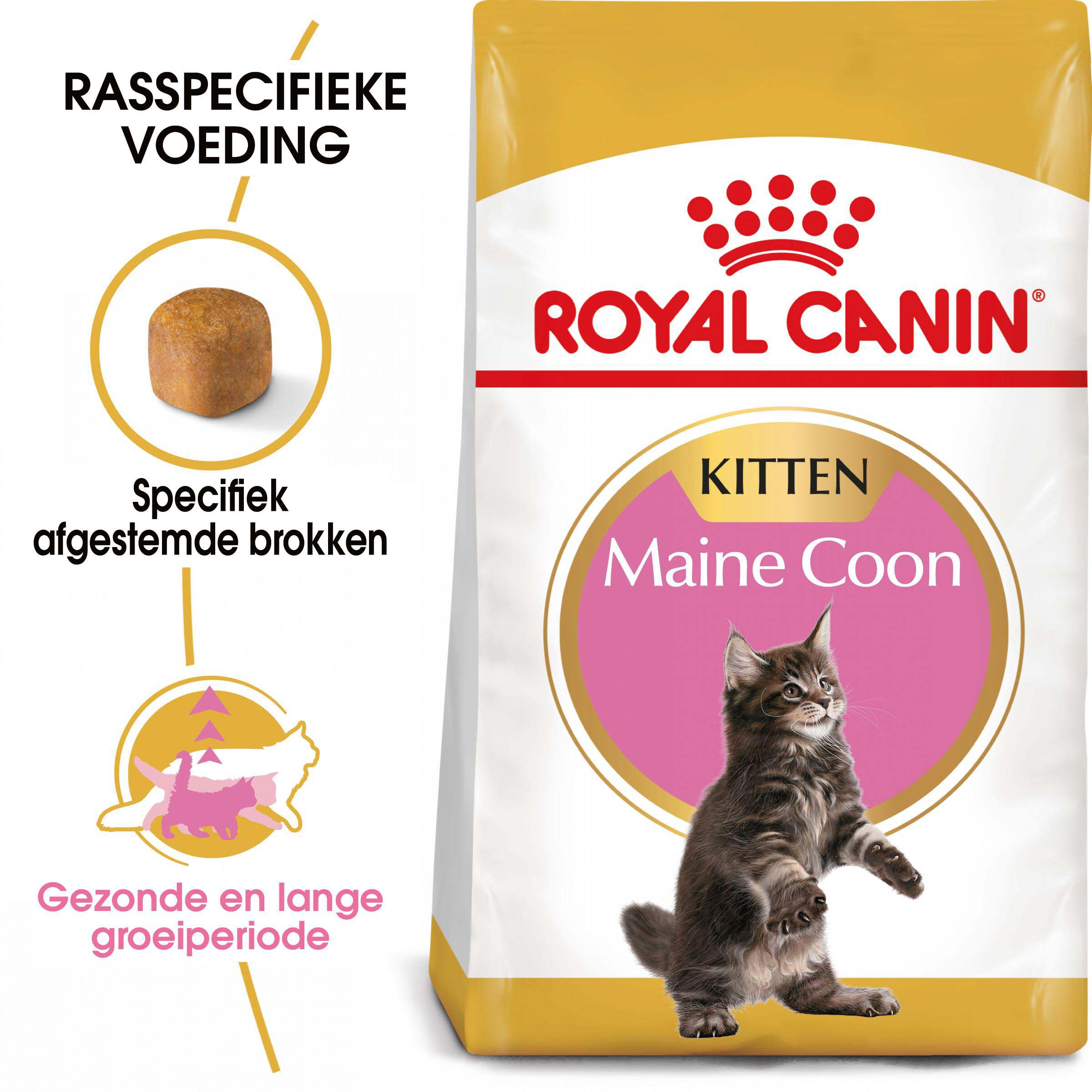 Royal Canin Maine Coon Kitten - Kattenvoer - 2 Kilogram - Gevogelte