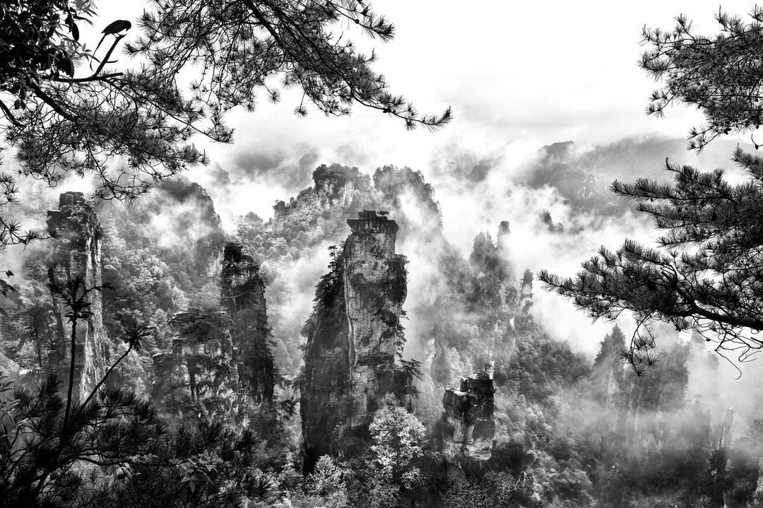 Nature's Drawing by Tatiana Gorilovsky - Limited Edition. Edition of: 150. Signed.
