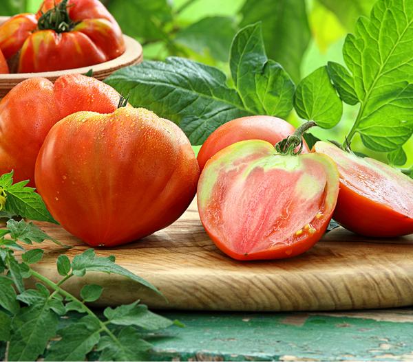 Dehner Gourmet Garten Ochsenherztomate,