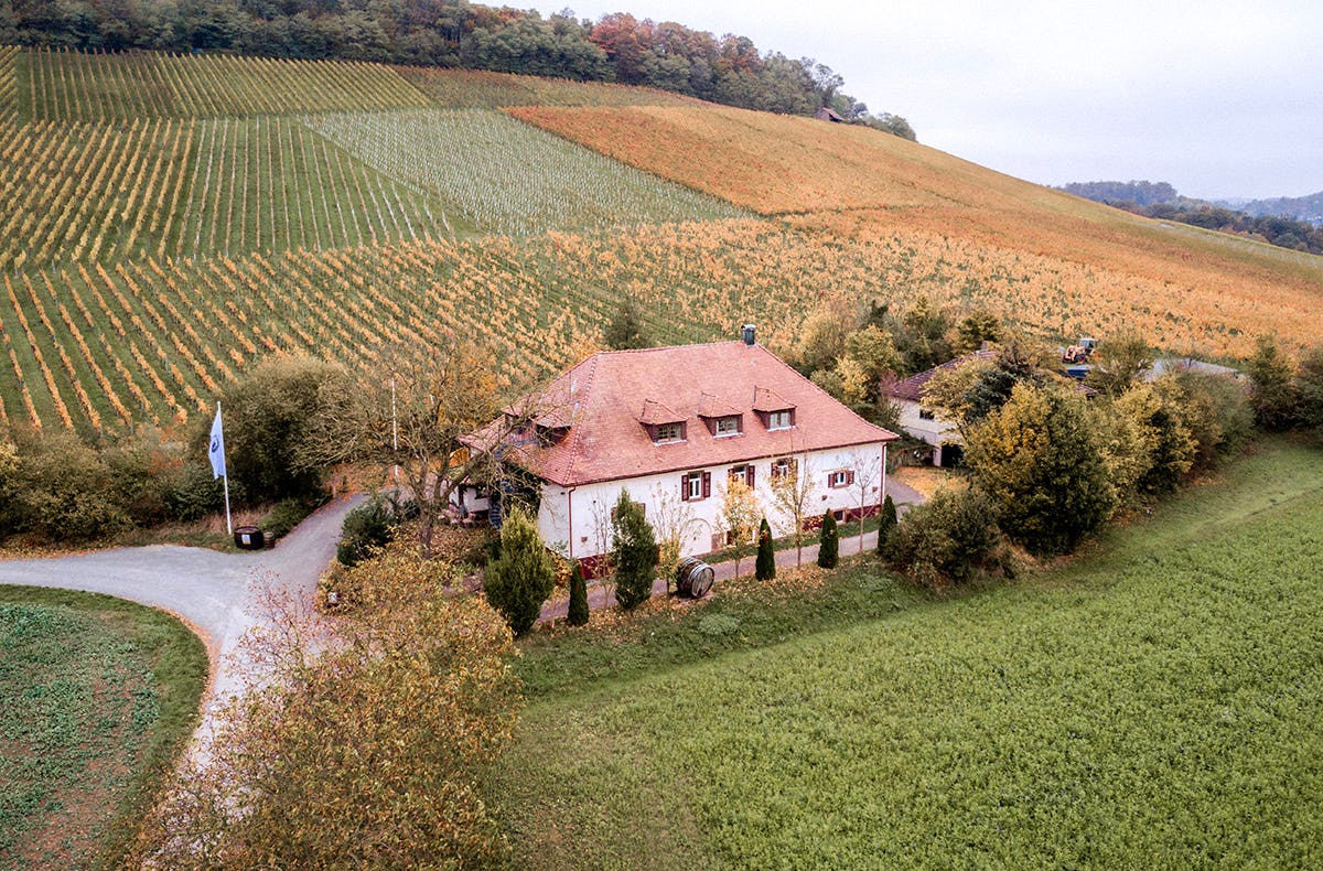 Weinprobe Maulbronn
