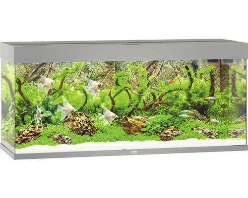 Juwel Rio 240 aquarium met LED-verlichting, pomp, filter, verwarming (zonder kast), grijs