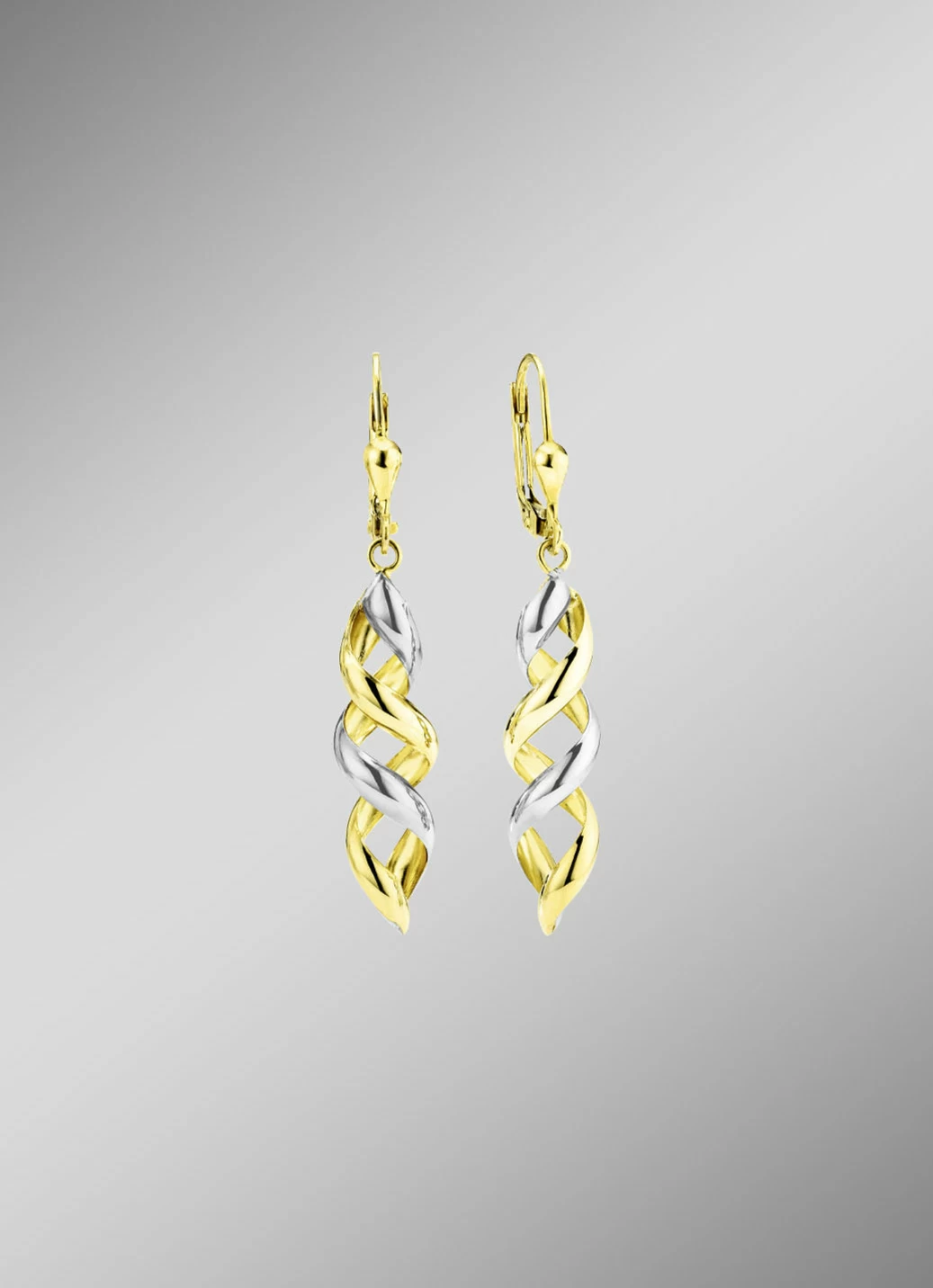 Eleganz in Bewegung: Bicolor-Ohrringe aus Gold 375/- fein