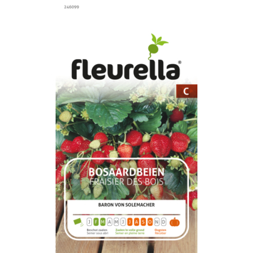 Fleurella zaden aardbei