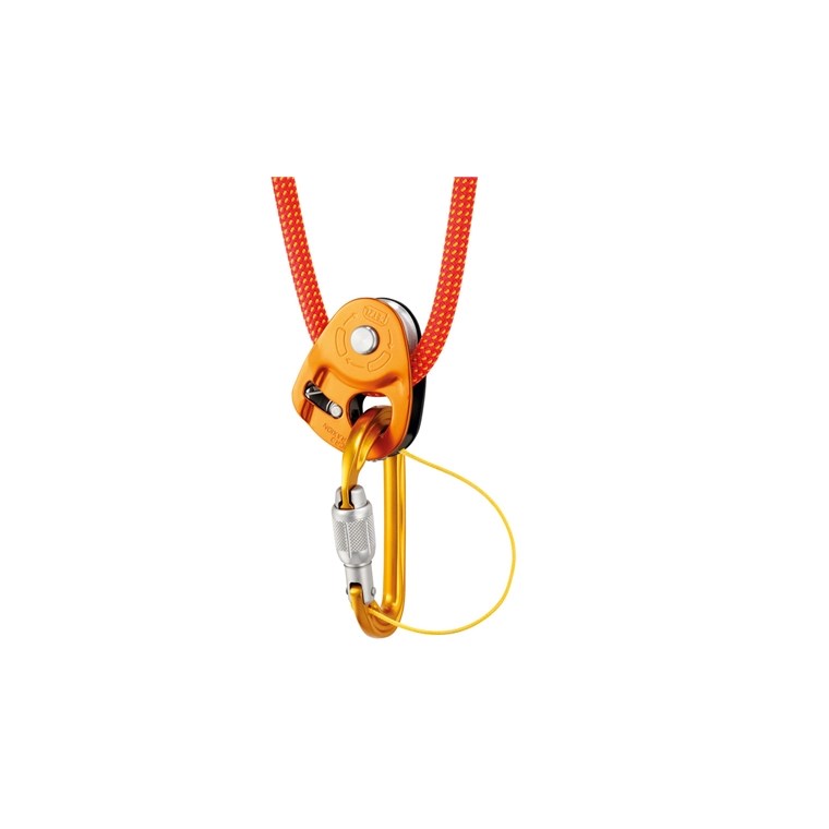 Petzl Sm'd Screw Lock Carabiner