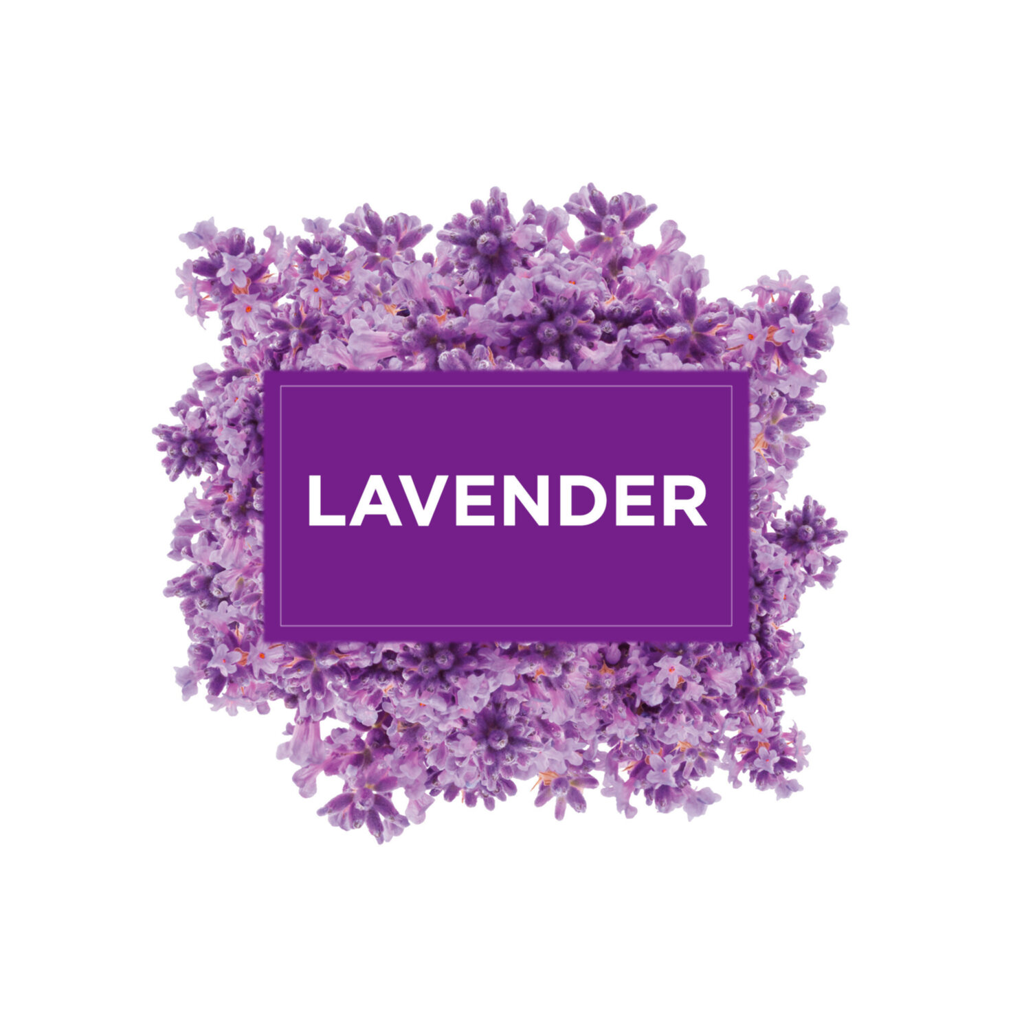 Glade Gel Lufterfrischer Lavender