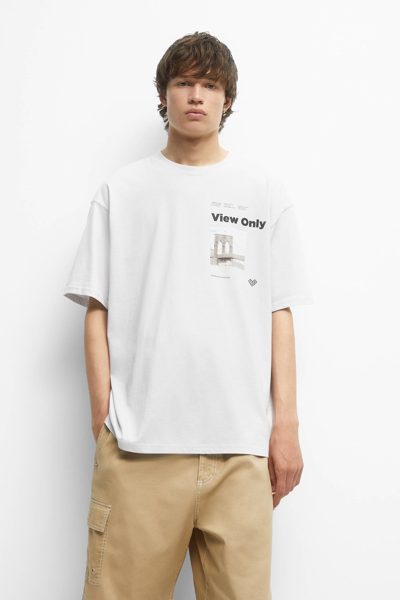 CAMISETA STWD ESTAMPADA CINZA - CINZA CLARO