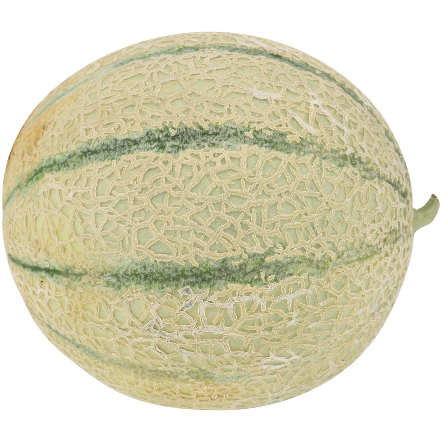 Naturaplan Bio Netzmelone 1 Stück -