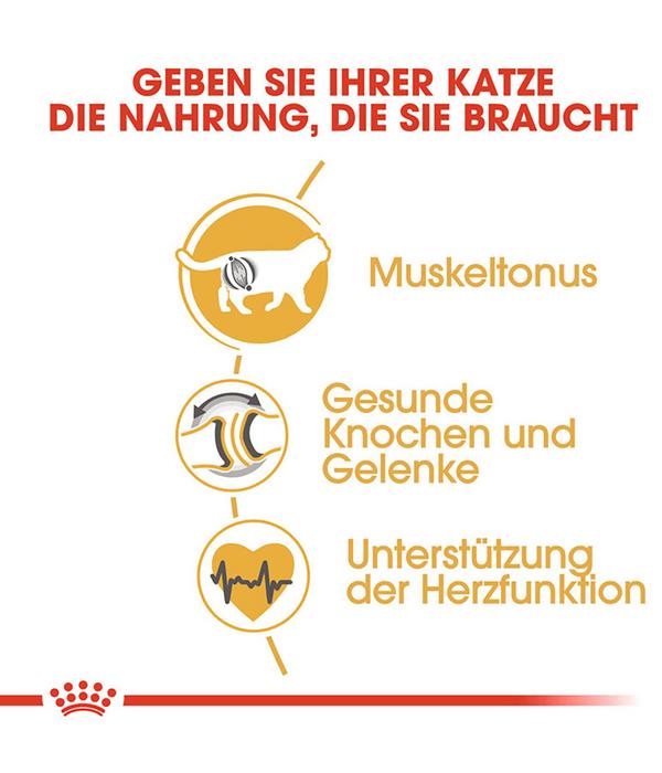 ROYAL CANIN® Trockenfutter für Katzen