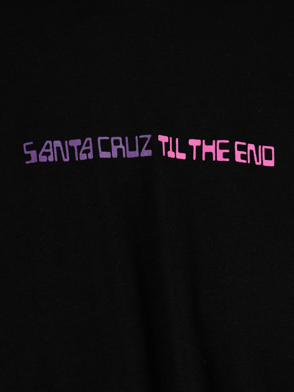 Santa Cruz Echo Camber T-Shirt black