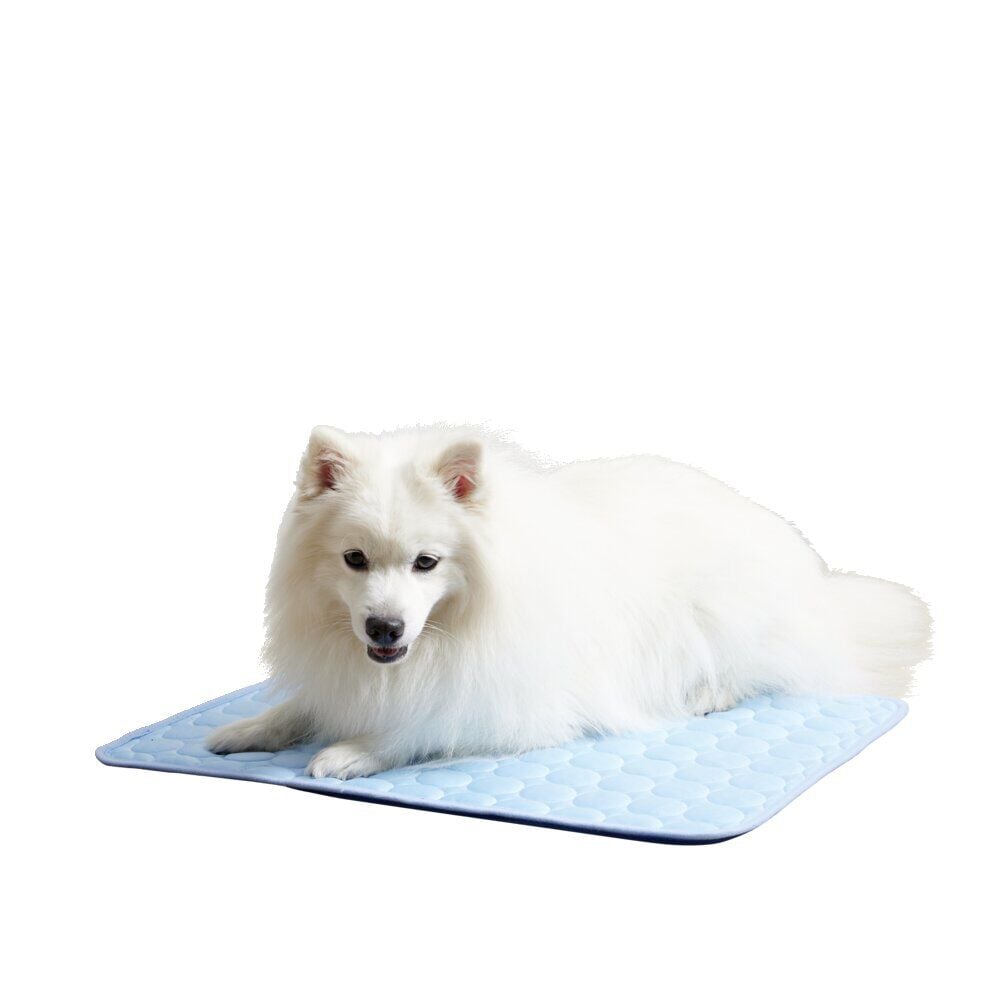 Tapis rafraîchissant pour chien 45x60cm