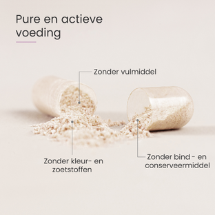 Proceive Zwangerschap Trimester 2 Capsules 60CP
