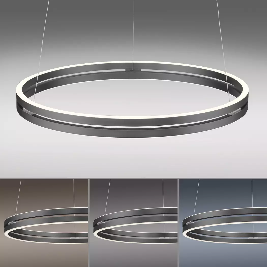 LED-Pendelleuchte Pure-E-Loop
