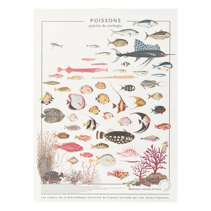 Les Jolies Planches Planche les trésors de la Bibliothèque Nationale Poissons 60x80 cm