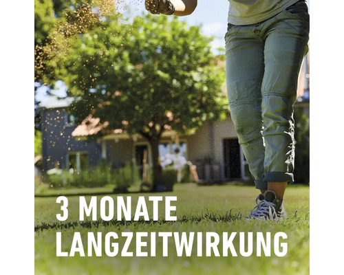Compo gazonmeststof tegen onkruid en mos, 3 kg per 100 m²