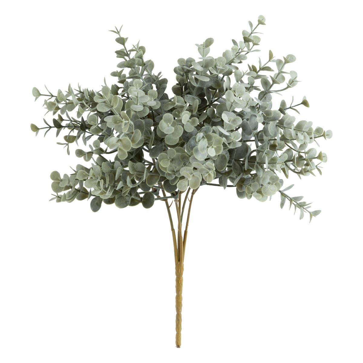 BOUQUET EUCALYPTUS JAMES H.30CM