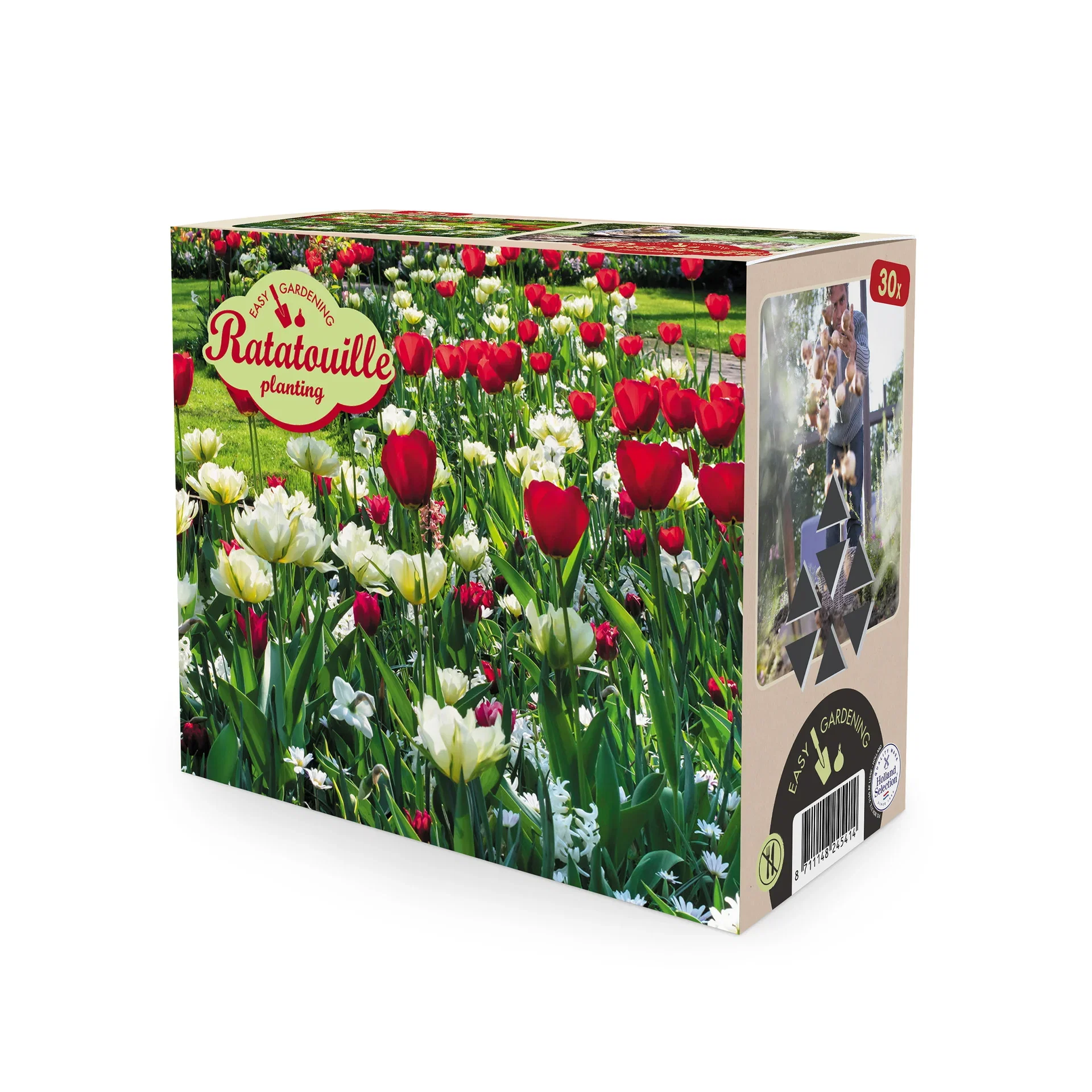 Plantagen Vårblomstrende løkmiks Ratatouille