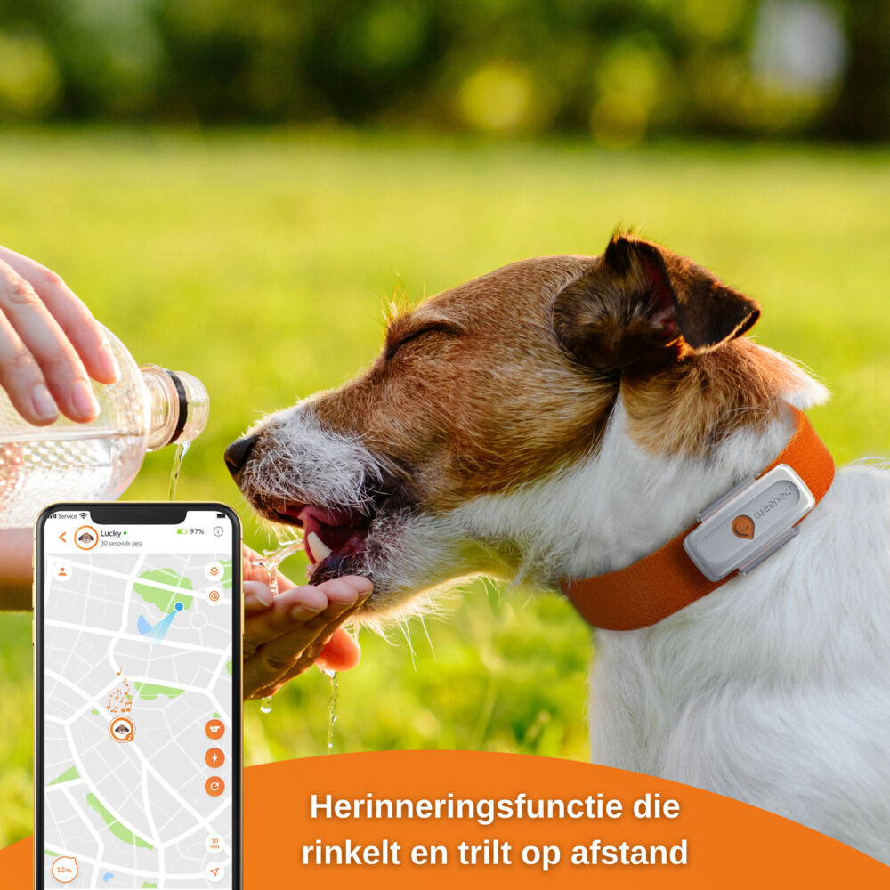 Weenect - GPS tracker Hond - wit - XS