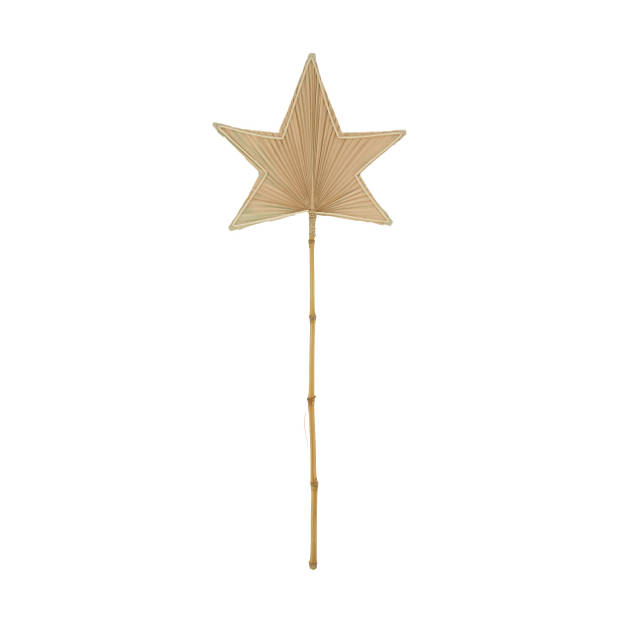 Droogbloem Palm Ster 77x29x1,5cm