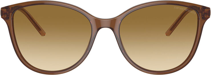 Michael Kors sunglasses Shiny transparent light brown