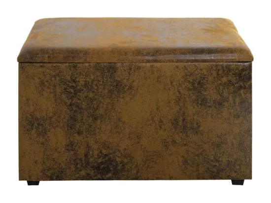 Coffre de Rangement Vintage 