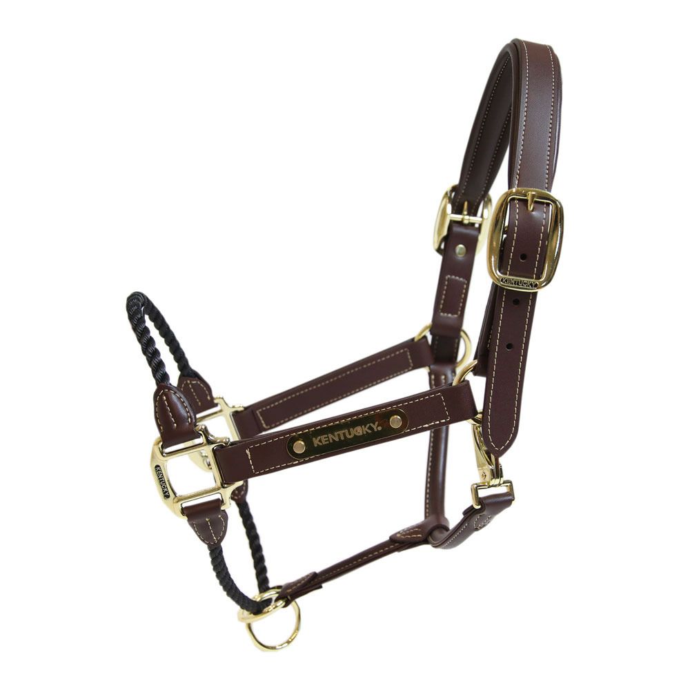 Kentucky ROPE CUIR - Licol brown