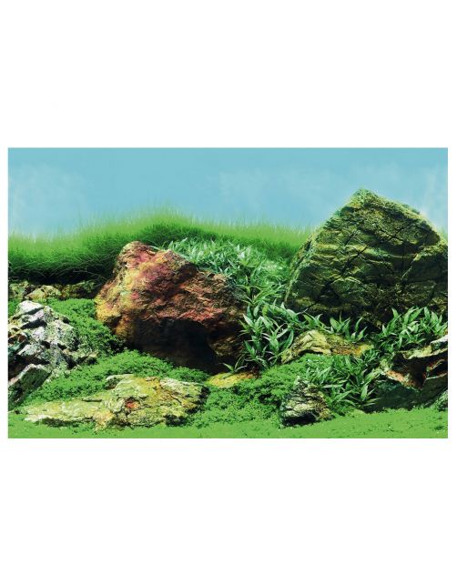 Superfish Deco Poster - Aquarium - Ornament