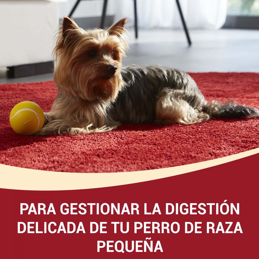 Ração para cães Purina One Adult Mini Bifensis Delicado Salmão e Arroz