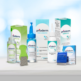 Prioderm Luizen- En Netenkam 1ST