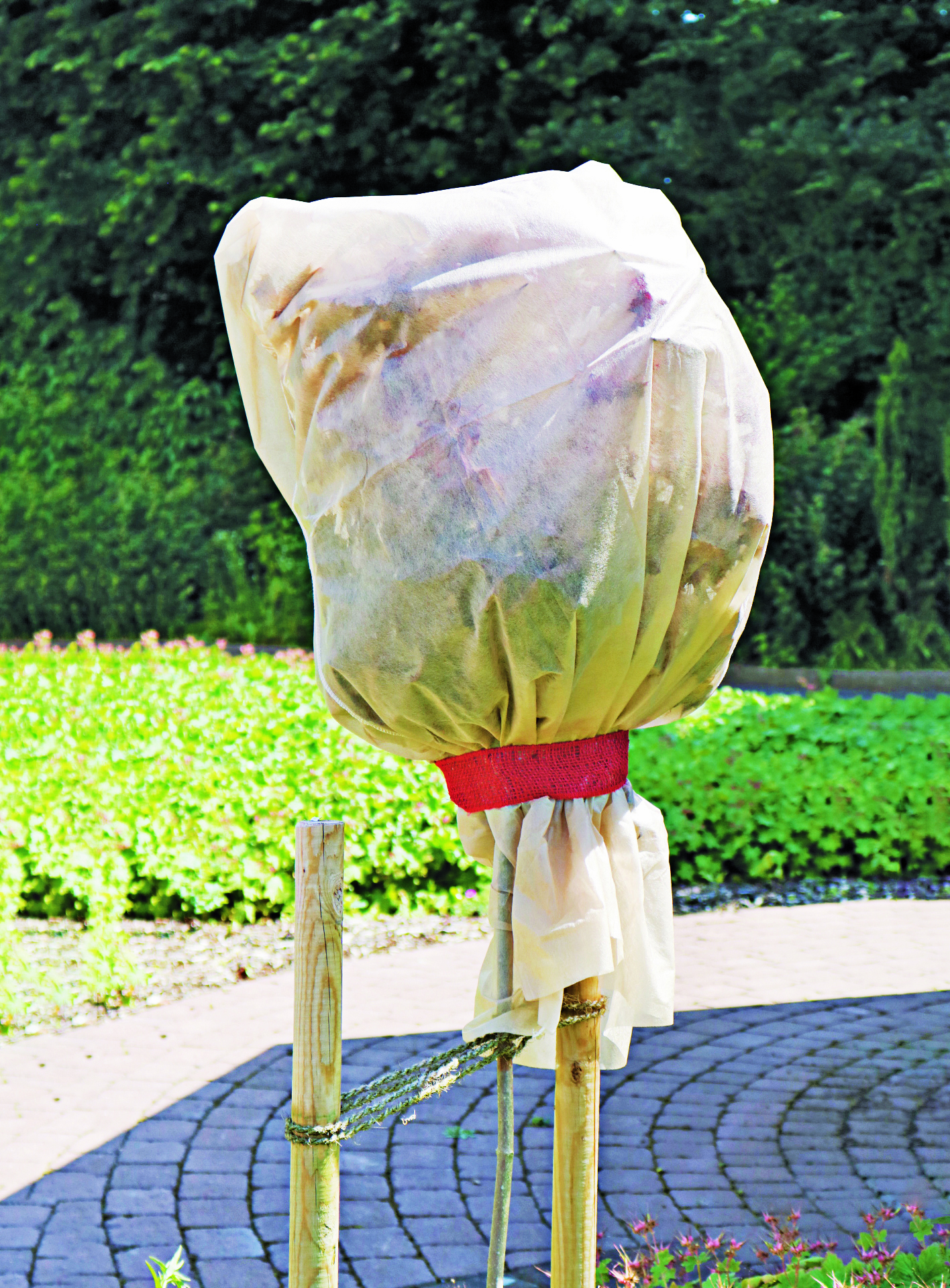 Grüner Jan Winterschlauchvlies 0,8x5m Natur