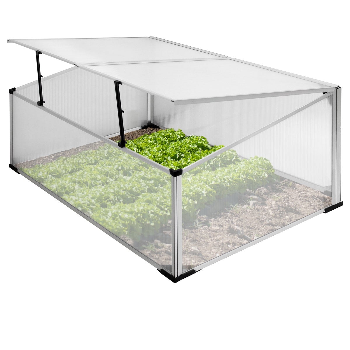 ECD Germany Aluminium Kweekkas met Tweedelig Dak, 100x60x40 cm, 0,6 m² Oppervlakte, Gemaakt van Transparant Polycarbonaat, Weerbestendig, Kweekkas Tomatenkas Plantenkas