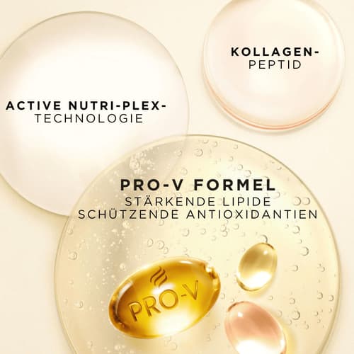 Pantene Pro-V Repair & Care Shampoo für Schwaches, Trockenes, Geschädigtes Haar