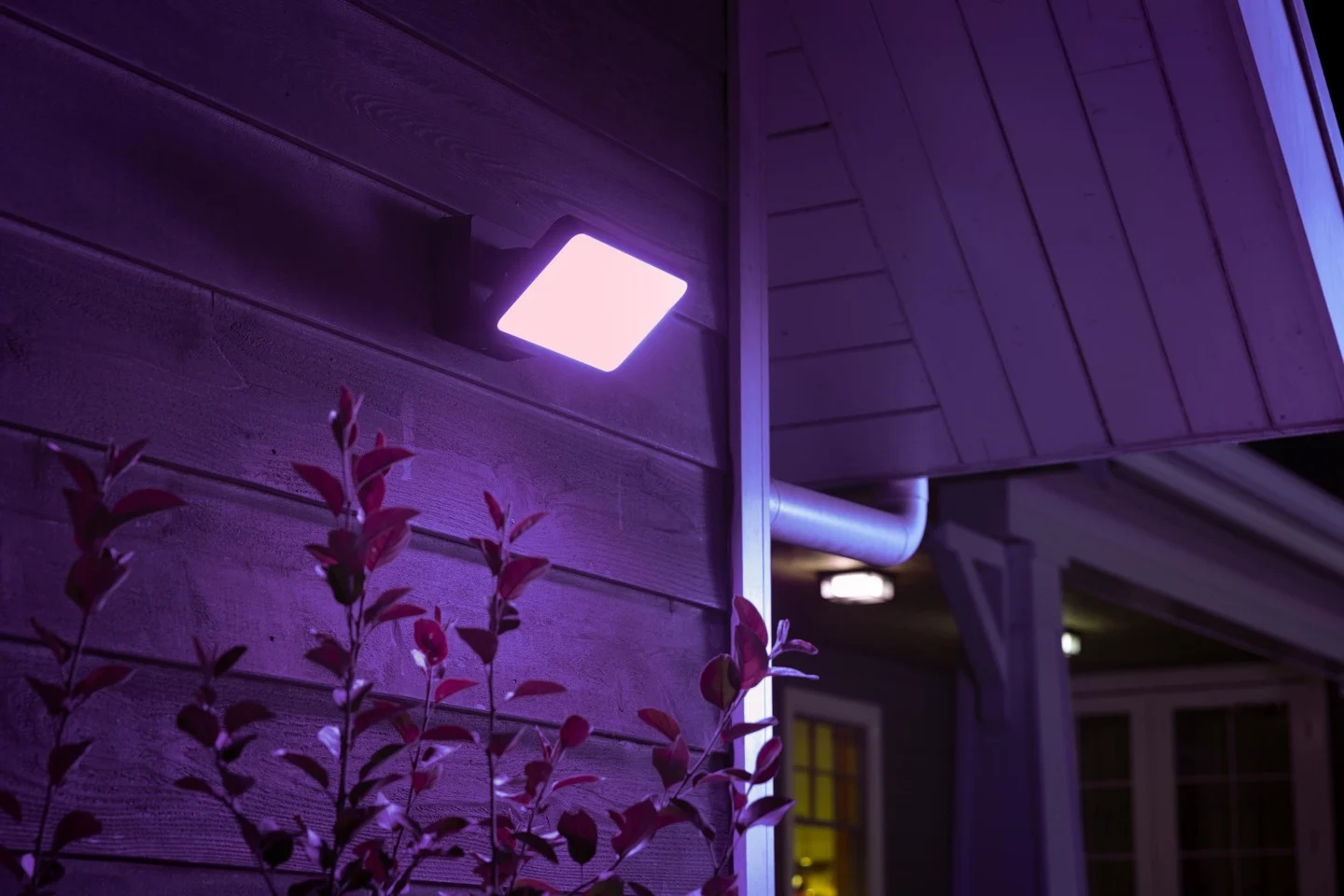 Philips Hue - Discover Black Outdoor- White & Color Ambiance