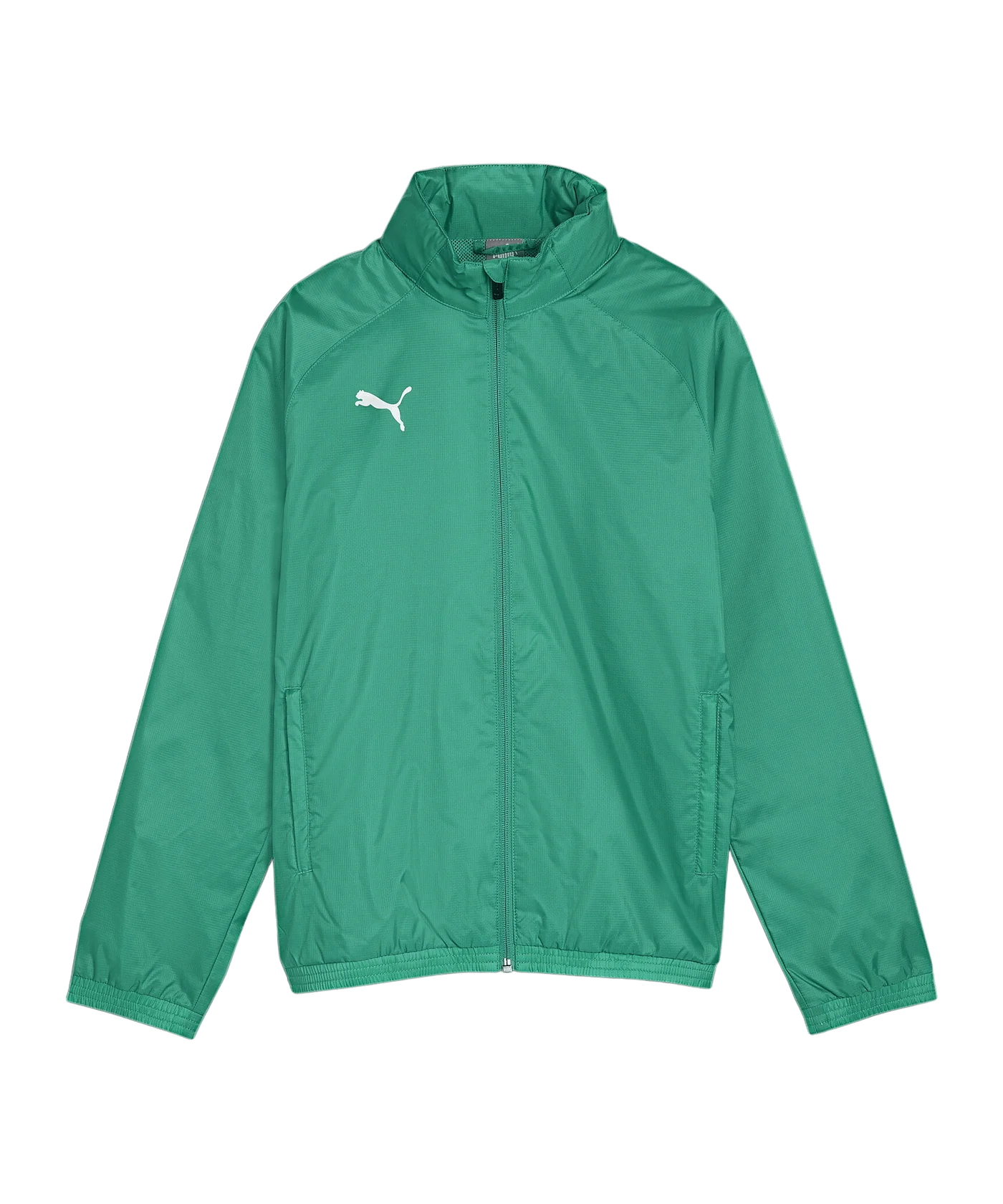 PUMA teamGOAL Allwetterjacke Kids Grün Weiss F05