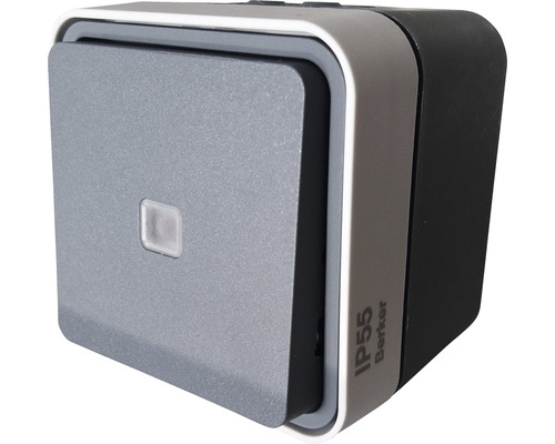 Berker 31763505 Besturingsschakelaar IP55 opbouw grijs/lichtgrijs-mat W.1 met lens