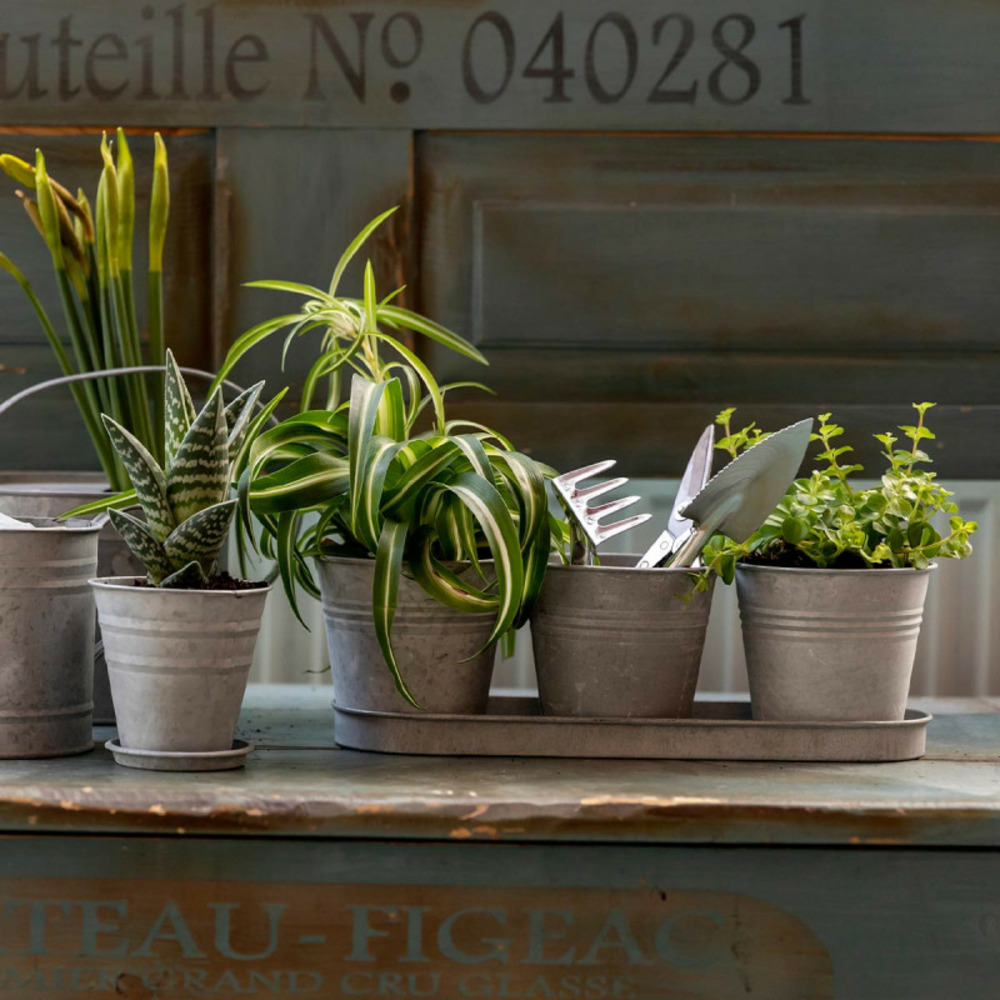 Set 3 pots de fleur en zinc